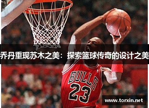 乔丹重现苏木之美：探索篮球传奇的设计之美